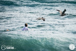 Martinique Surf Pro 2015   